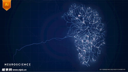 融合科技與關(guān)愛 探索未來醫(yī)療護(hù)理的數(shù)字化大腦